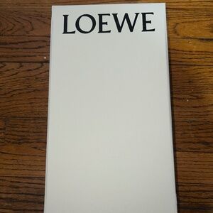 Loewe shoe box